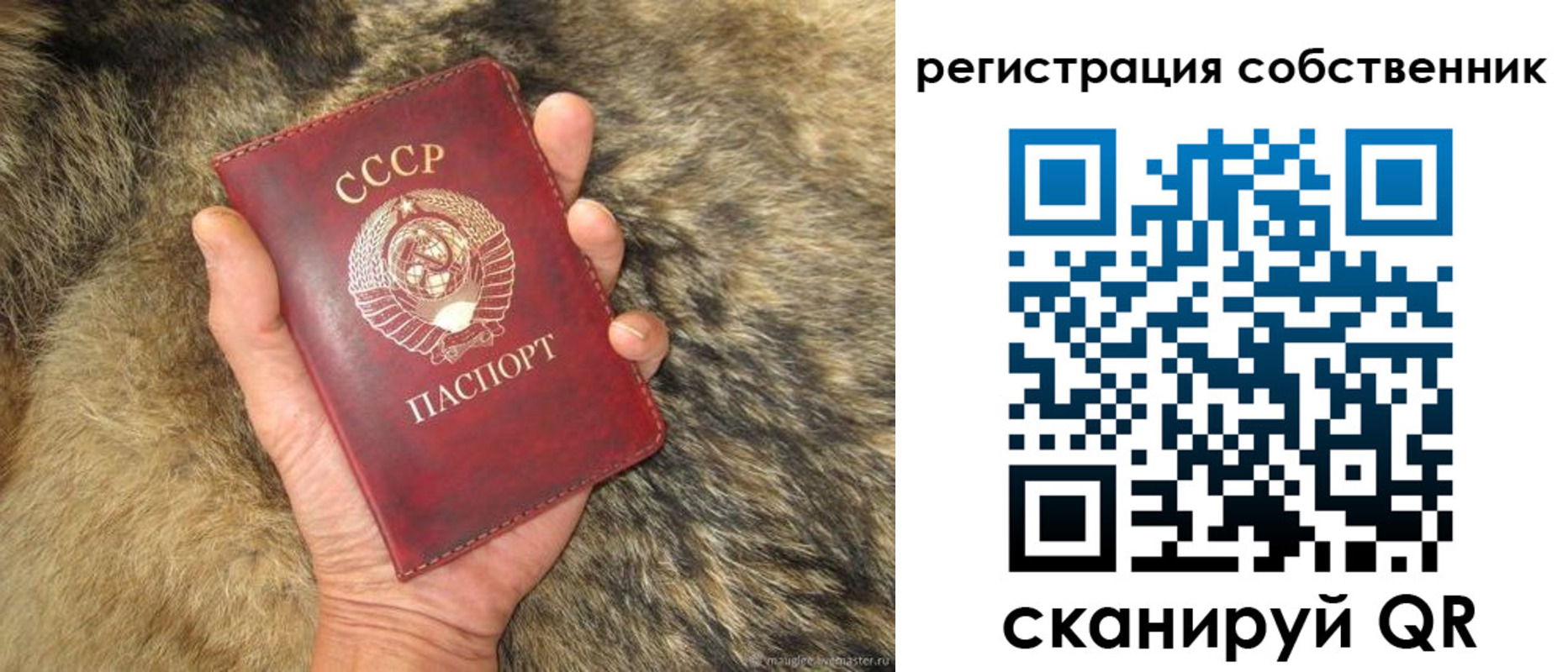 прописка 2025 в Дюртюли